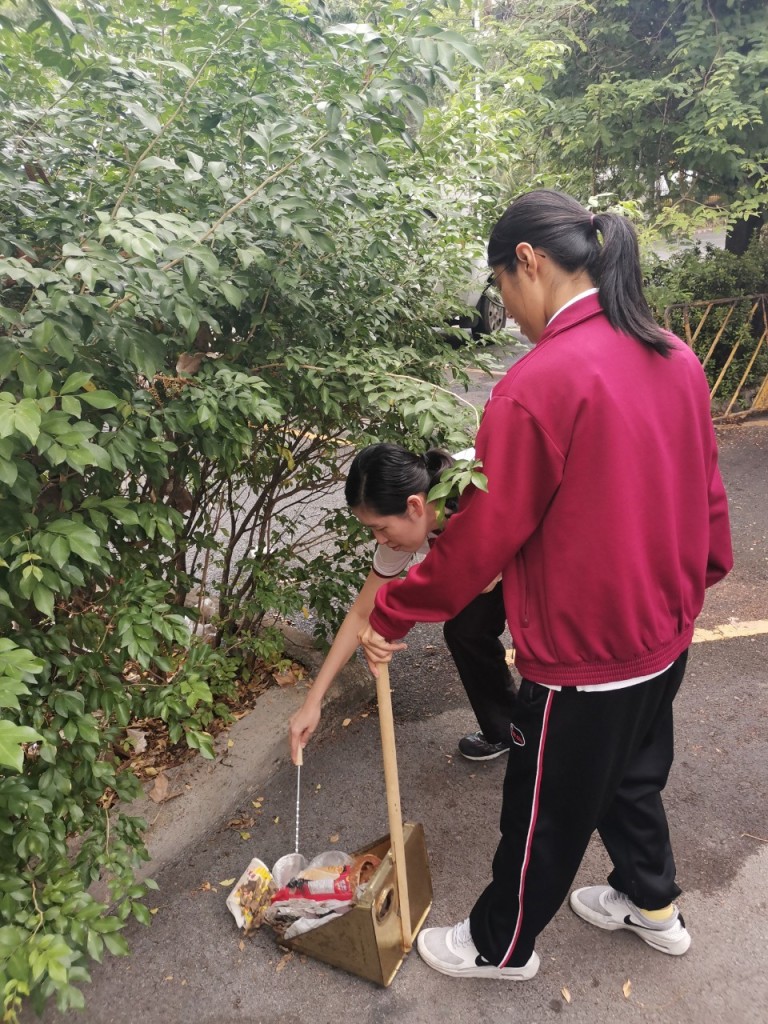 line_211147696152923